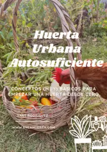 Huerta Urbana Autosuficiente