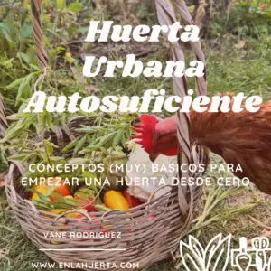 Huerta Urbana Autosuficiente