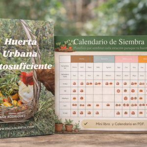 Huerta Urbana Sin Complicaciones