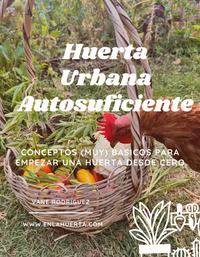 Huerta Urbana Autosuficiente